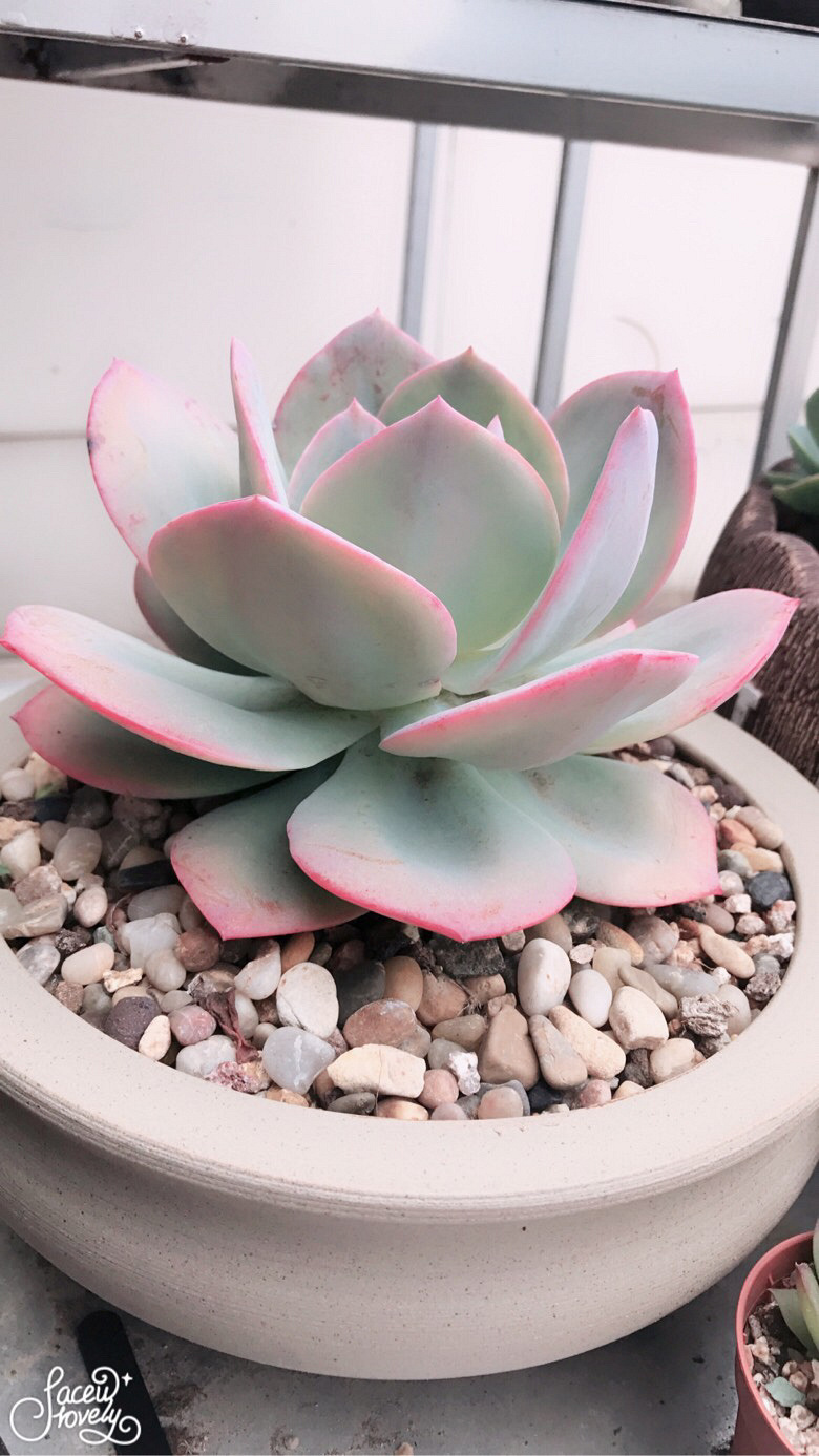 �׷�۷۵ĸ��˺�ϲ��