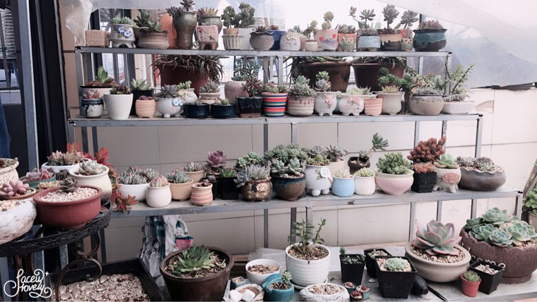 �׷�۷۵ĸ��˺�ϲ��