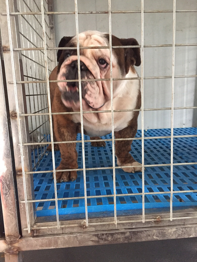 �㽭̨�ݵ���˫Ѫͳ�����ֹ��������