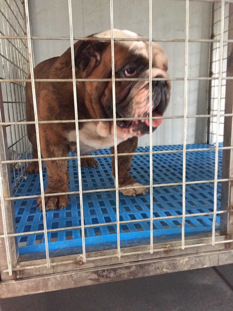 �㽭̨�ݵ���˫Ѫͳ�����ֹ��������