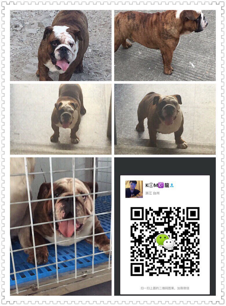 �㽭̨�ݵ���˫Ѫͳ�����ֹ��������