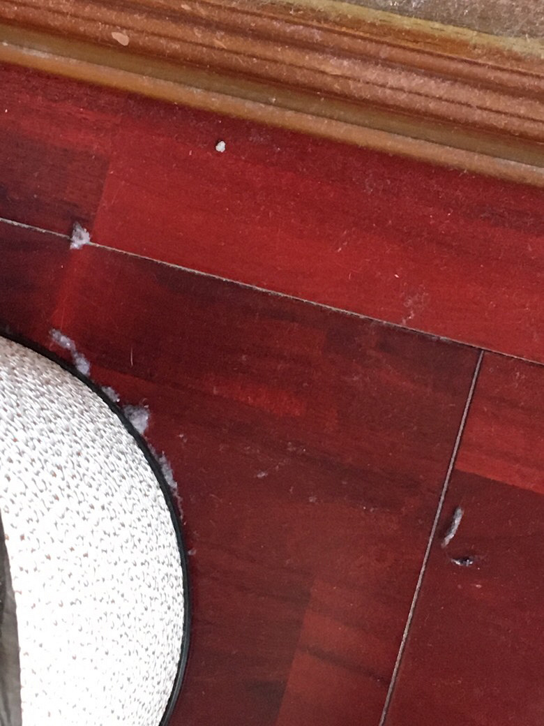 ˭�ұ������� ------С���ˡ�������