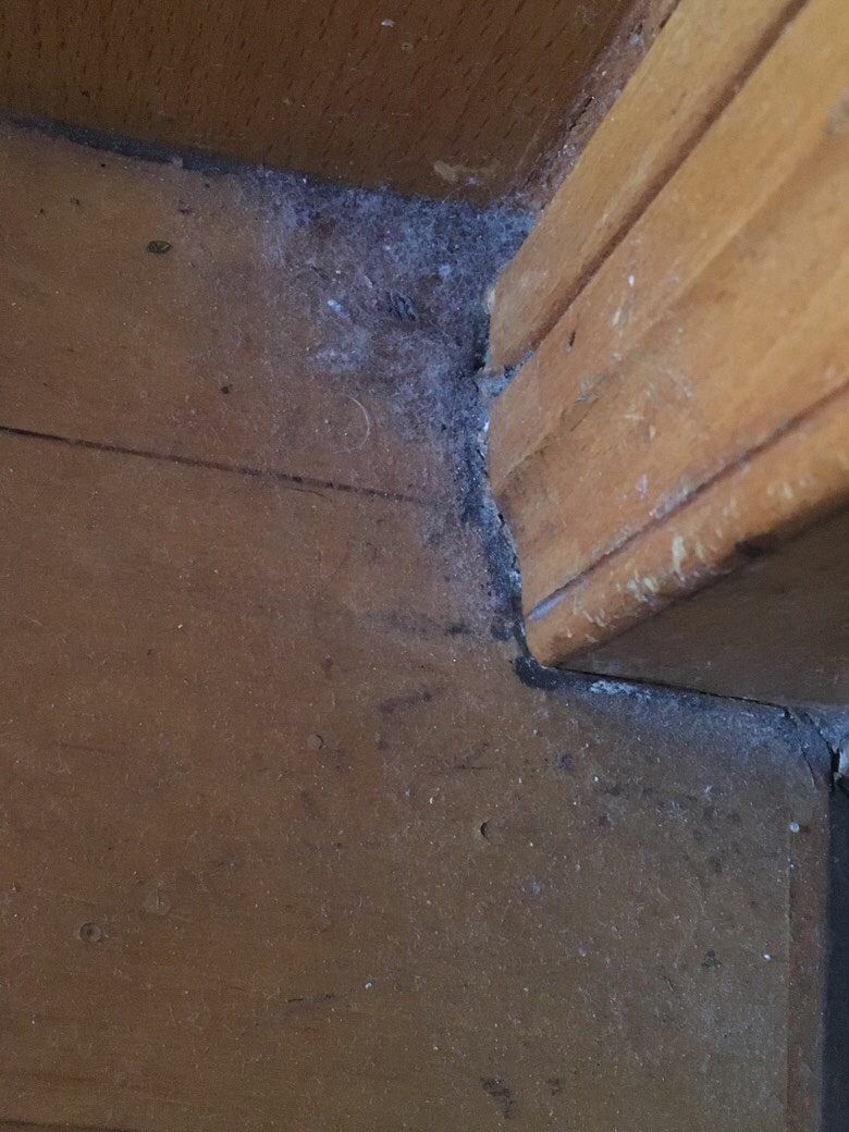 ˭�ұ������� ------С���ˡ�������