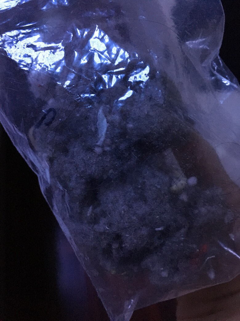 ˭�ұ������� ------С���ˡ�������