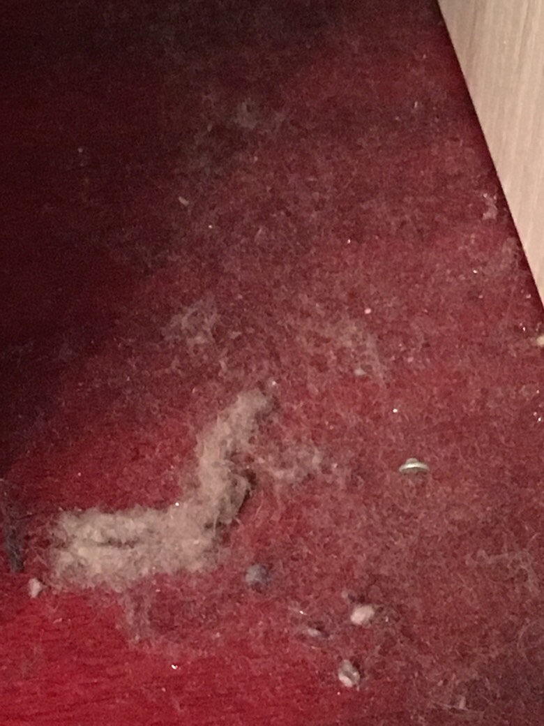 ˭�ұ������� ------С���ˡ�������