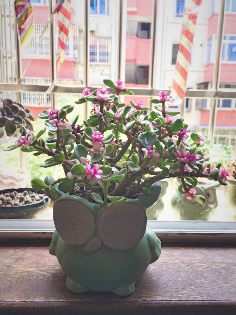 ��������������״̬