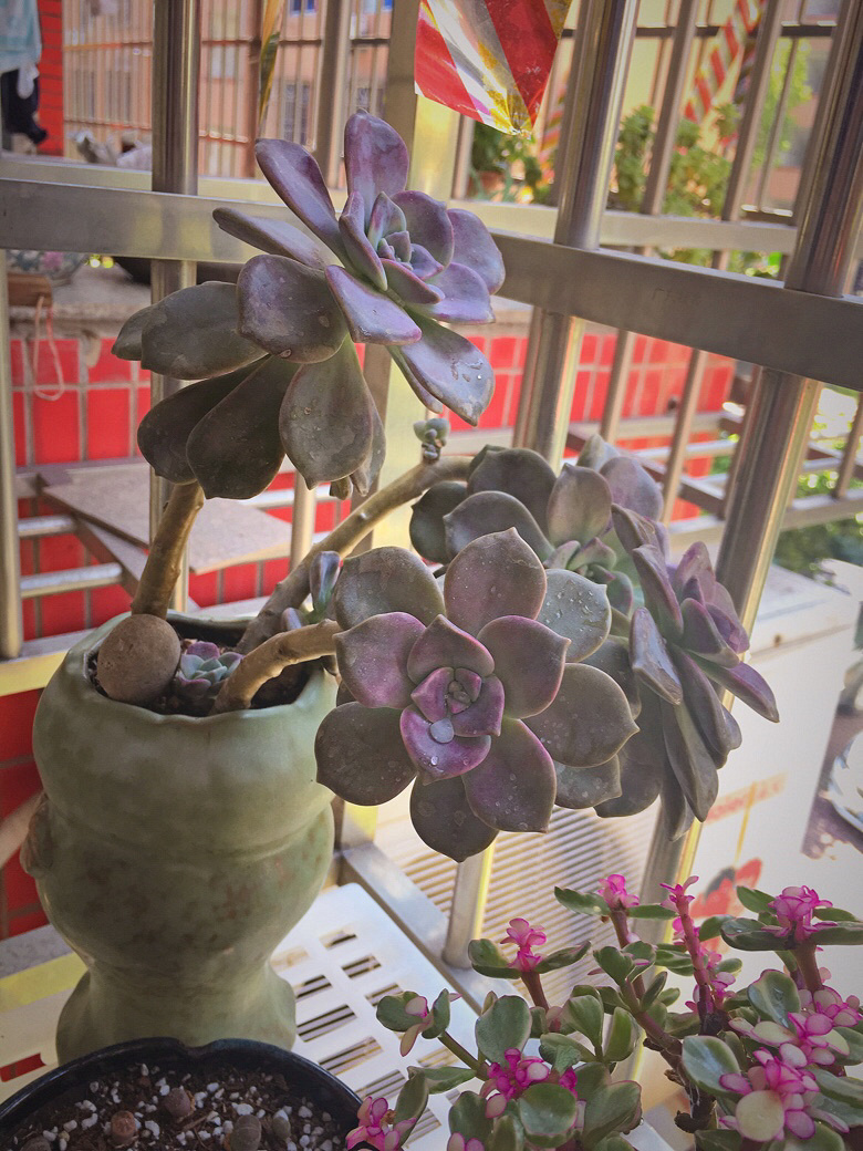 ��������������״̬