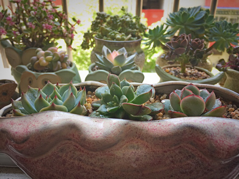 ��������������״̬