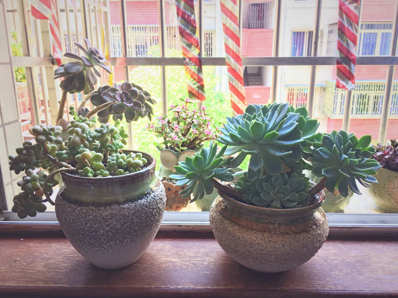 ��������������״̬