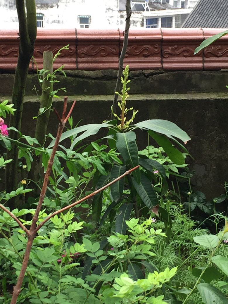 ���Ϻ�������һЩ