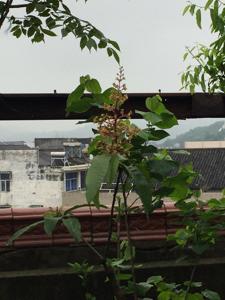 ���Ϻ�������һЩ