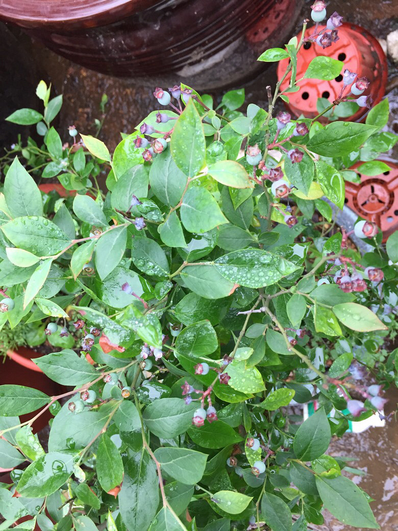 ���Ϻ�������һЩ