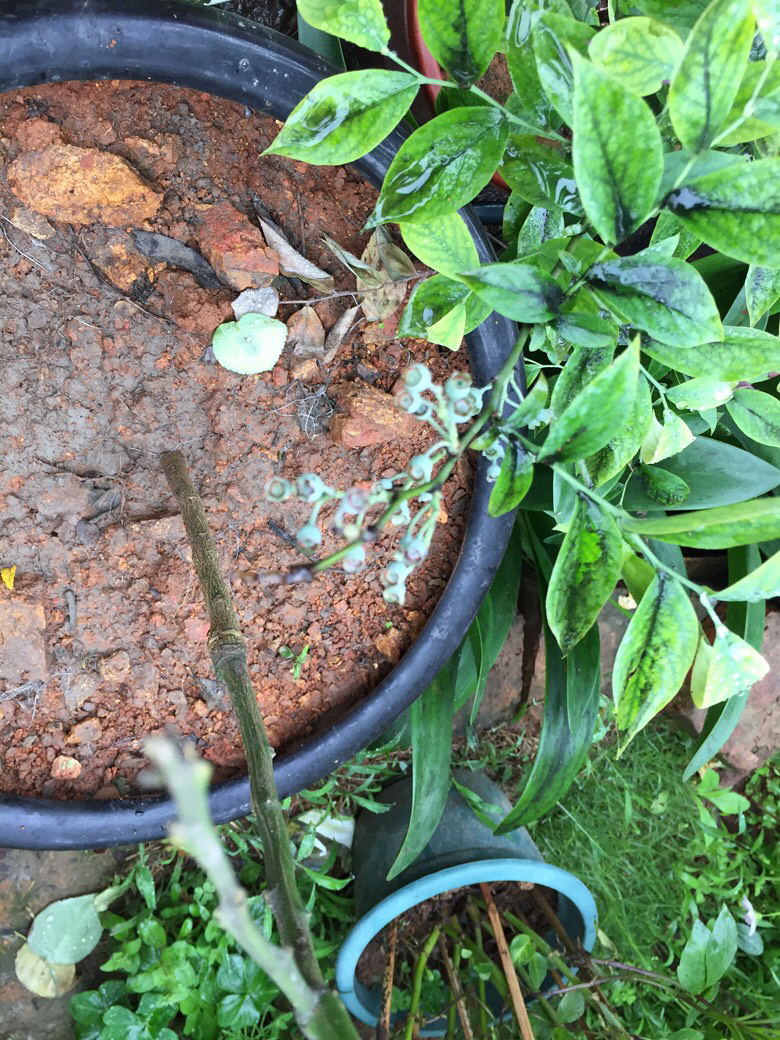 ���Ϻ�������һЩ