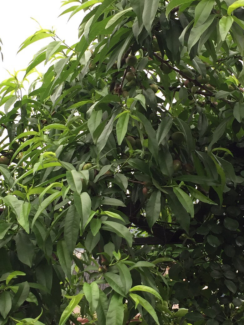 ���Ϻ�������һЩ