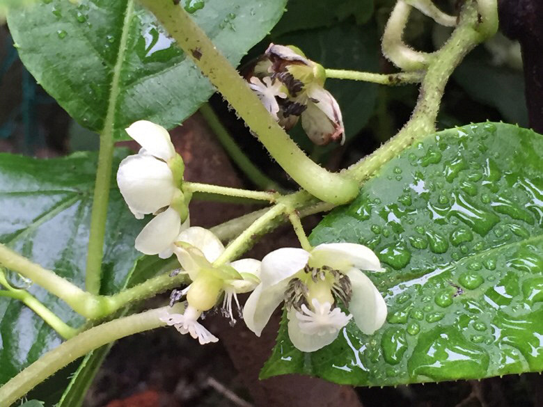 ���Ϻ�������һЩ