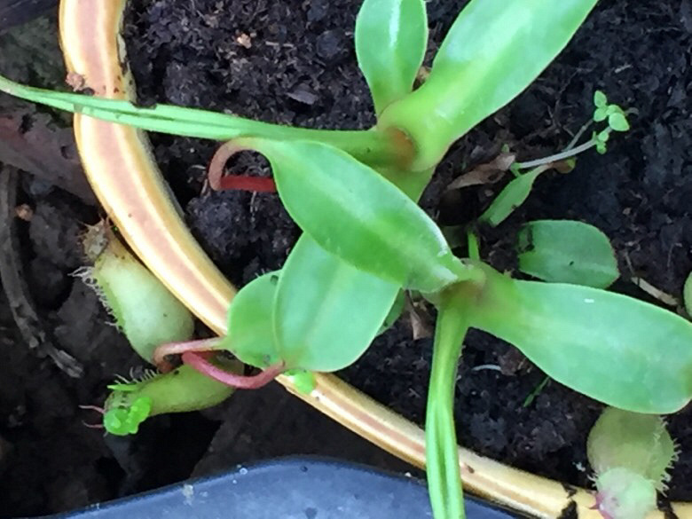 ���Ϻ�������һЩ