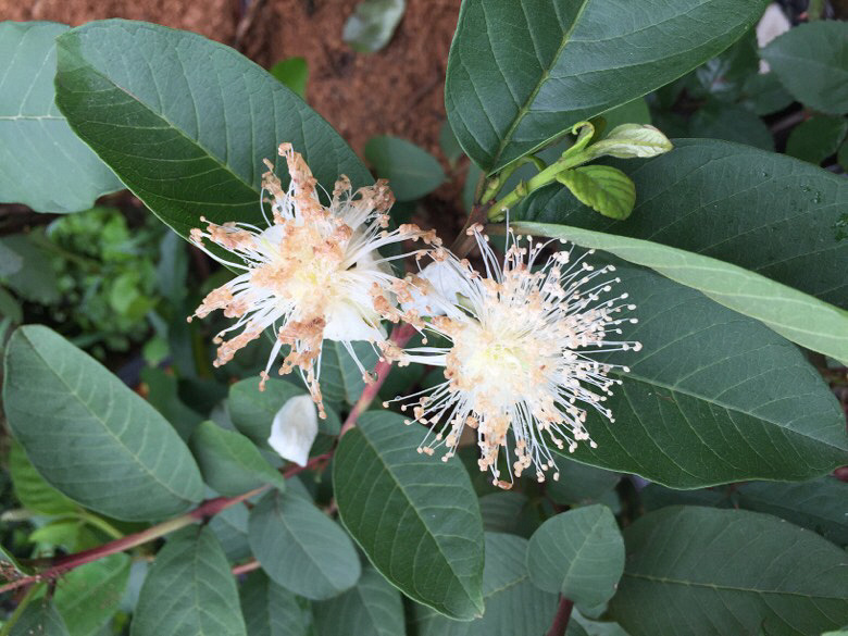 ���Ϻ�������һЩ