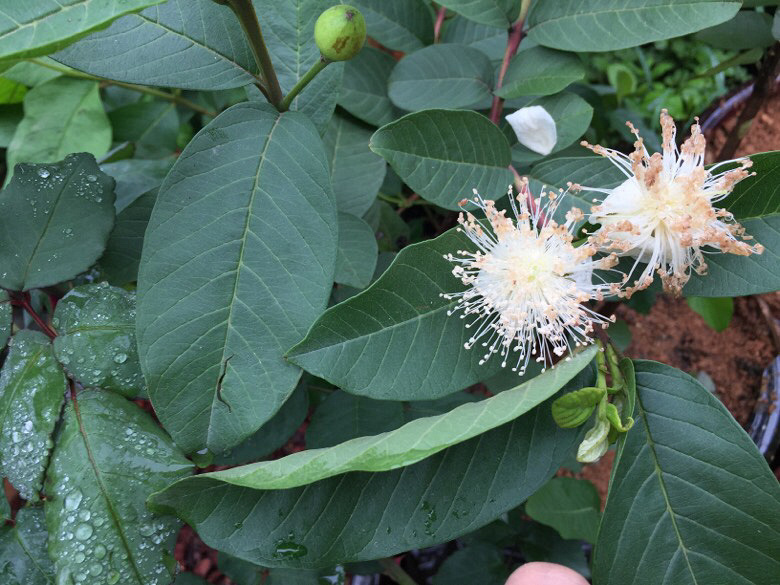 ���Ϻ�������һЩ