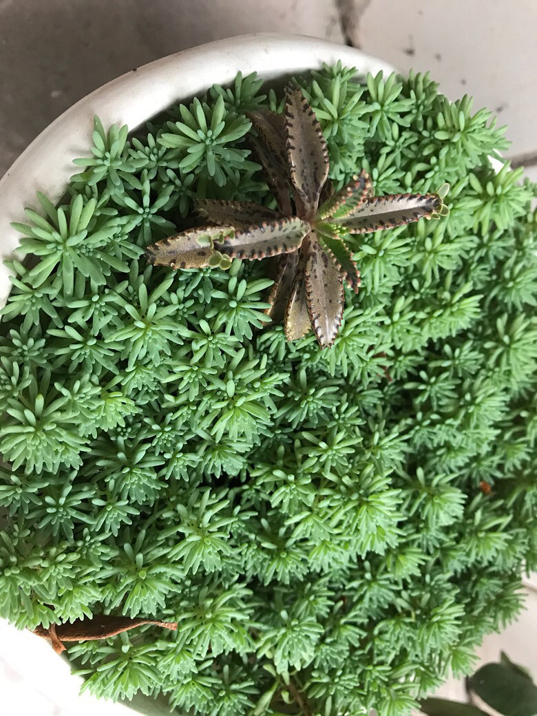 ����գ���������ֱ��ʲô����