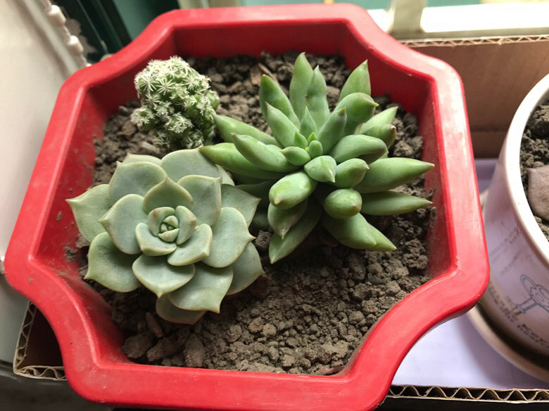 ���ǲ�ȱ���Ⱑ