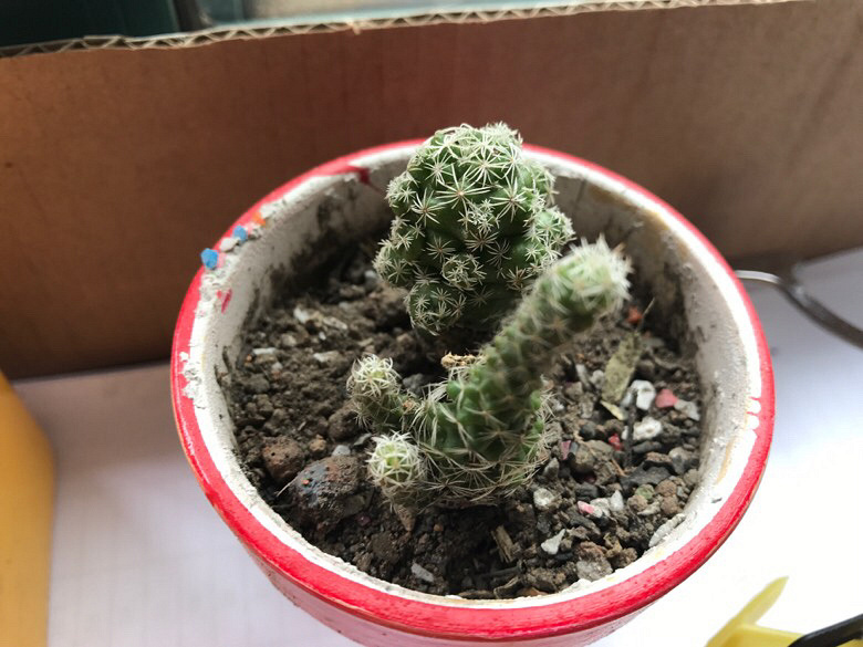 ���ǲ�ȱ���Ⱑ