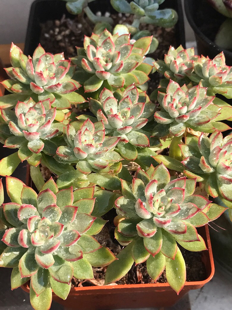 �Ӷ��쵽�����ٵ�����