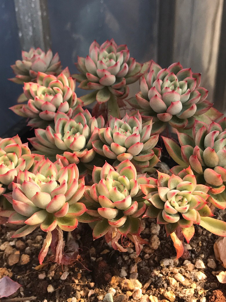 �Ӷ��쵽�����ٵ�����