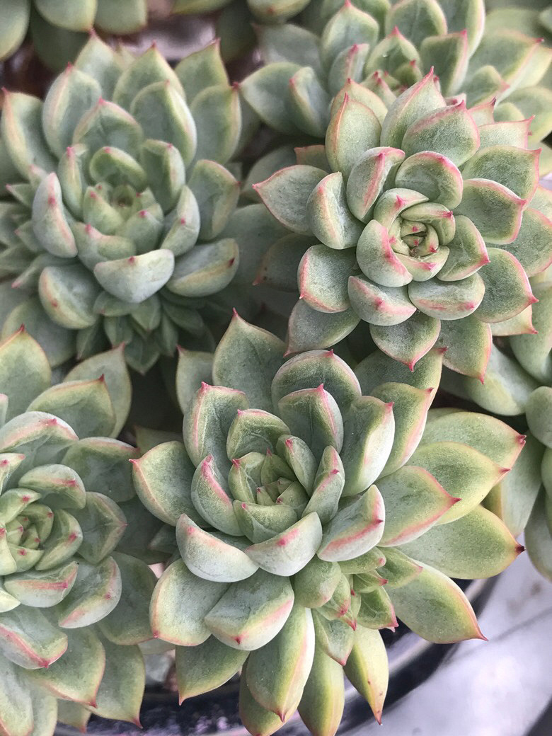 �Ӷ��쵽�����ٵ�����