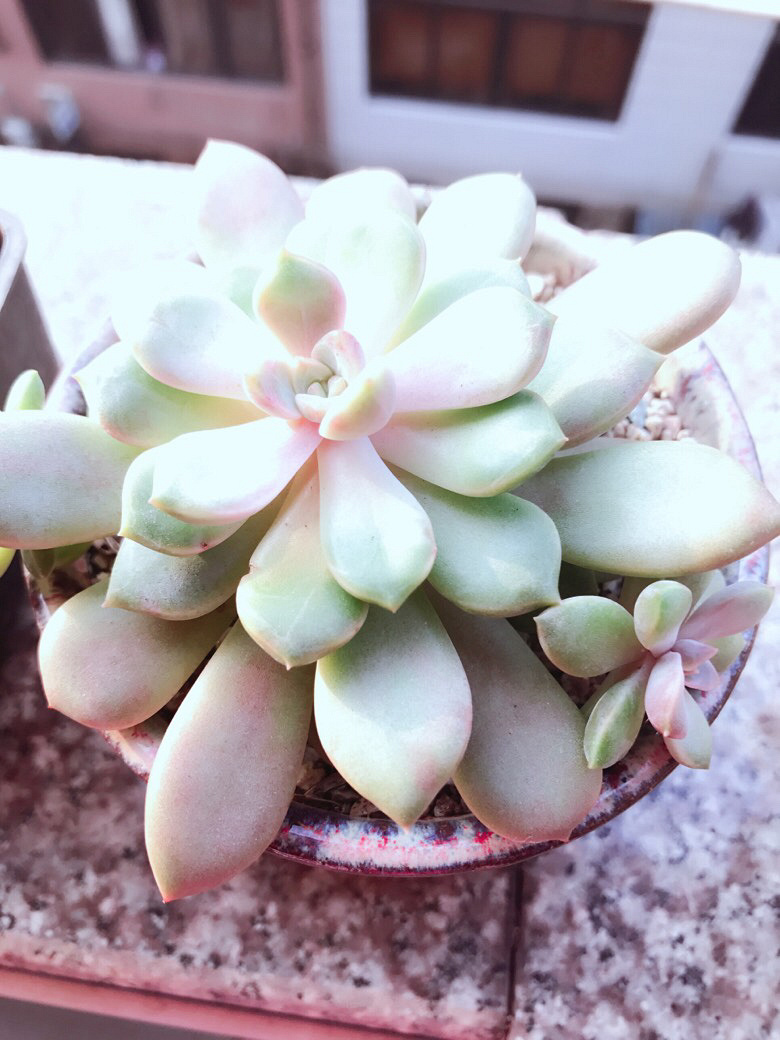 ������ݱ����