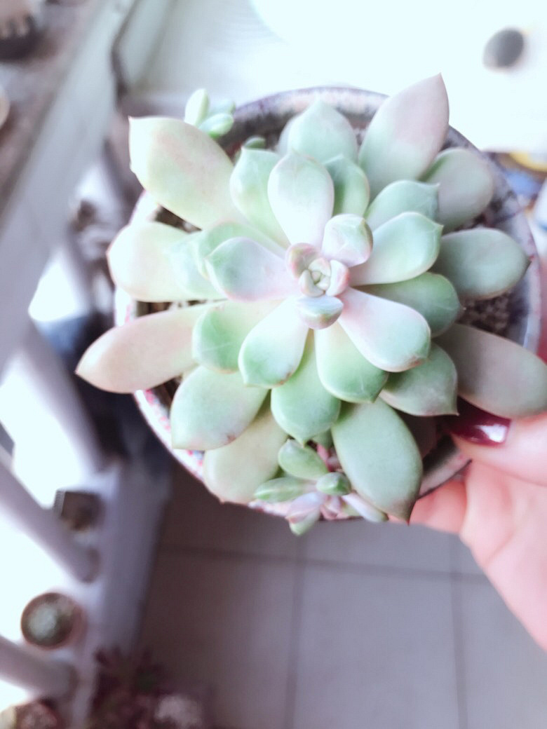 ������ݱ����