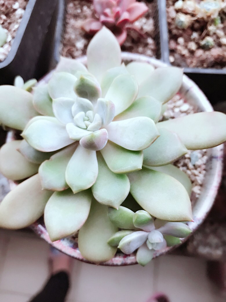 ������ݱ����