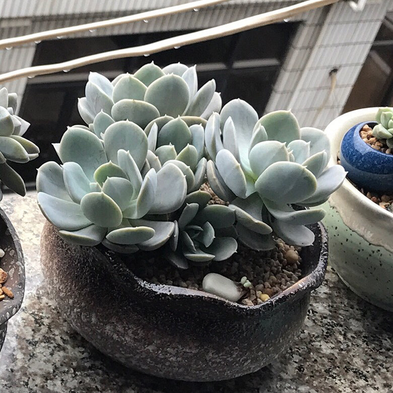 СС��ʱ��������