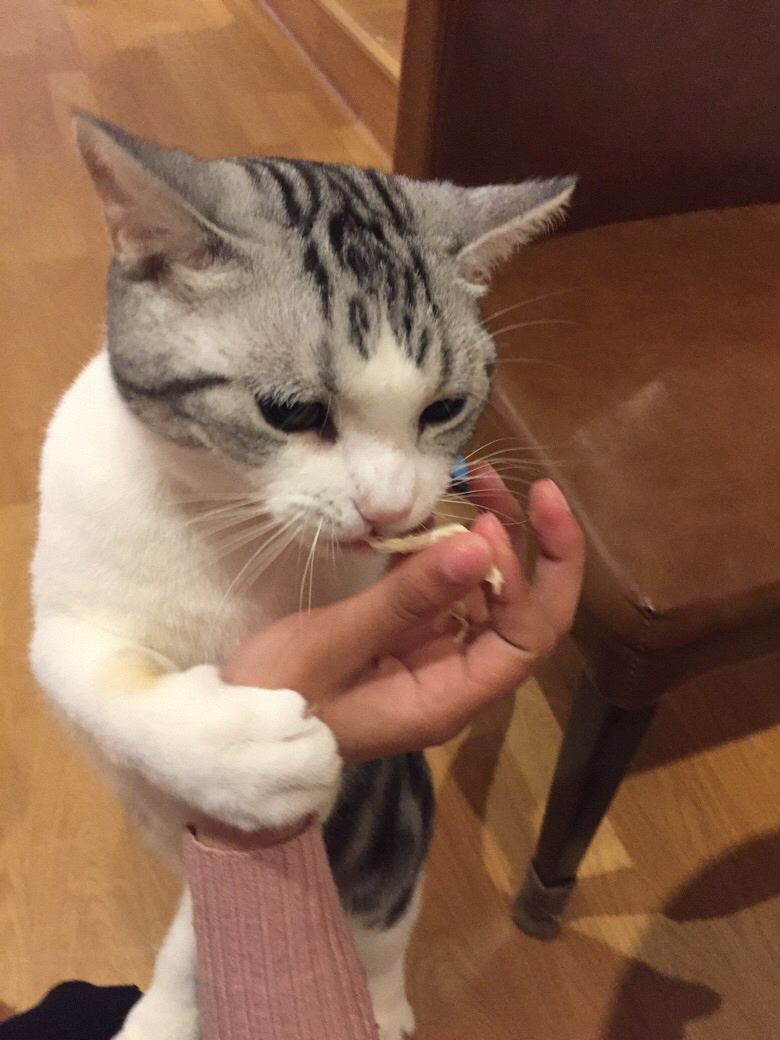 ����������һ�������ʱ��