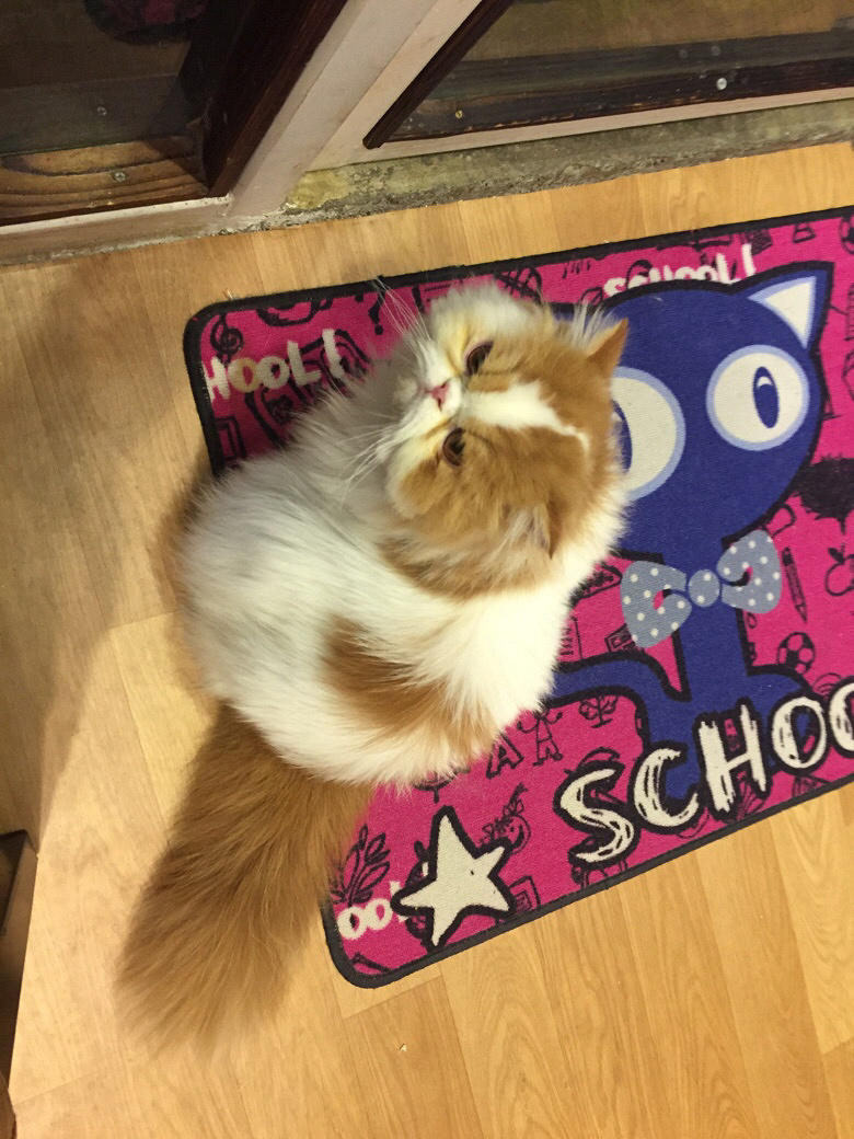 ����������һ�������ʱ��