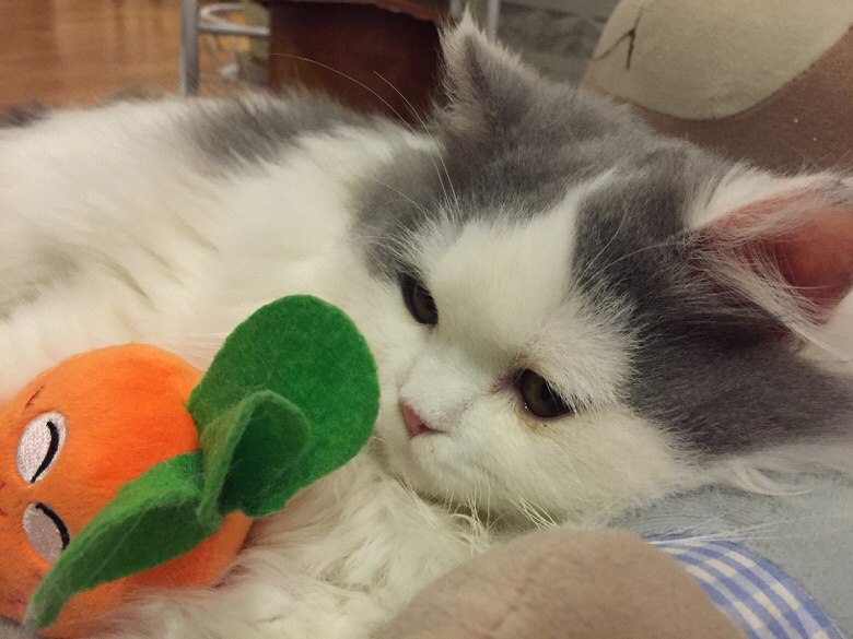 ����������һ�������ʱ��