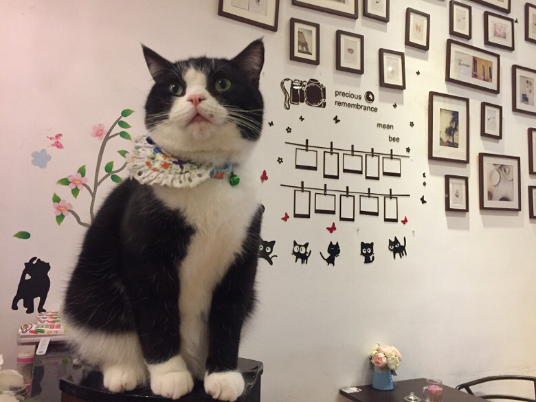 ����������һ�������ʱ��