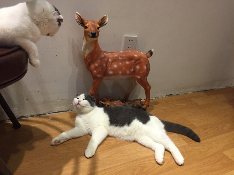 ����������һ�������ʱ��