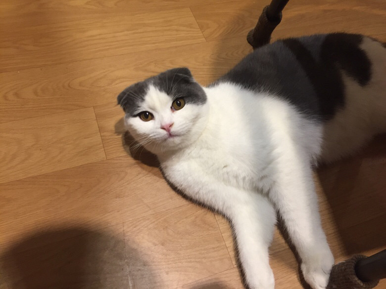 ����������һ�������ʱ��