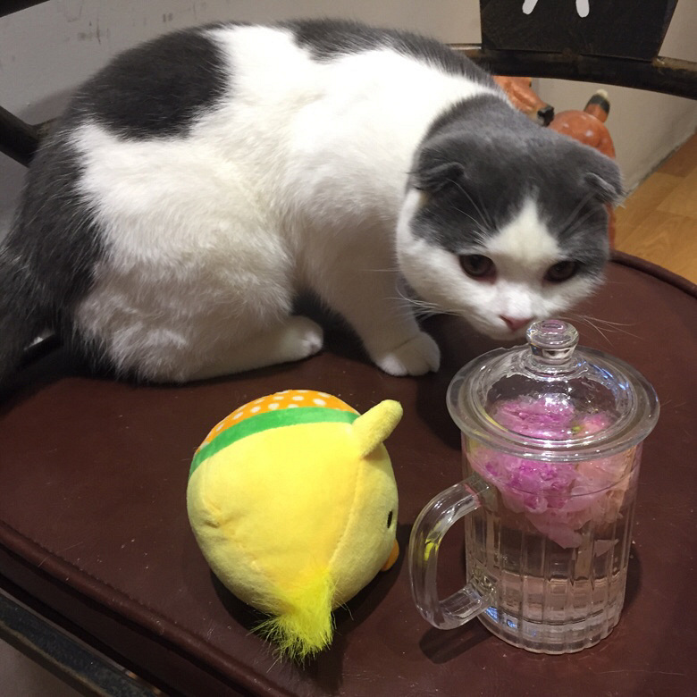 ����������һ�������ʱ��