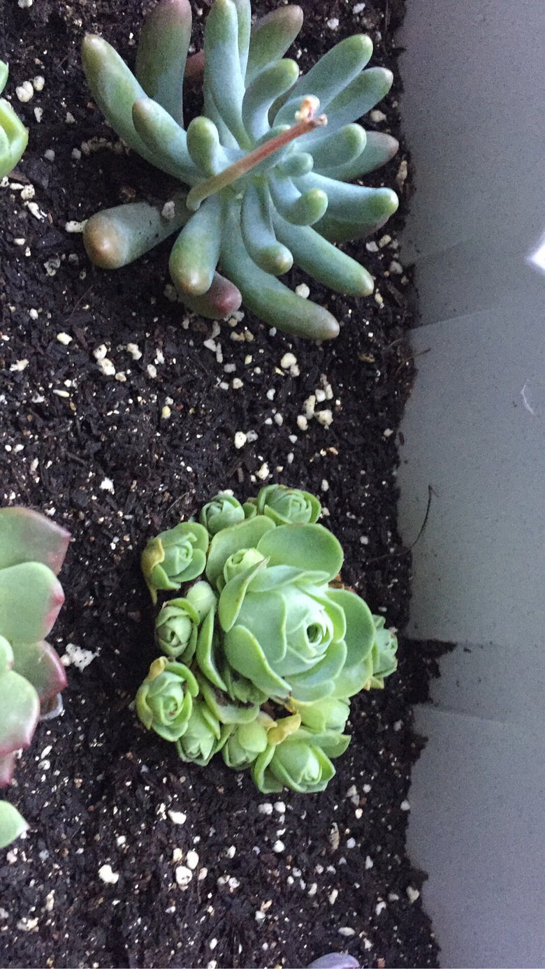 ���������һ�����⣬ϣ�����Դ��