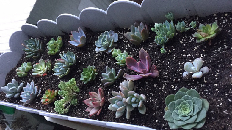 ���������һ�����⣬ϣ�����Դ��