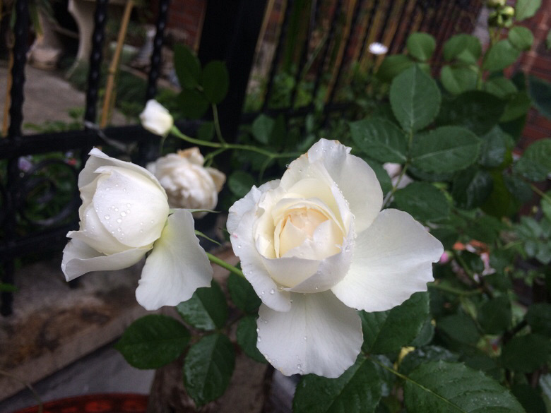 �ÿ��ľ�������