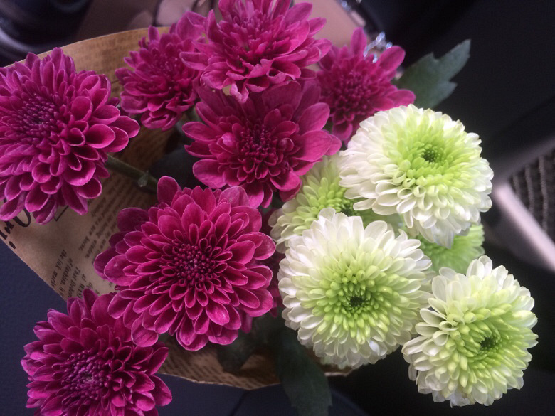 �ÿ��ľ�������