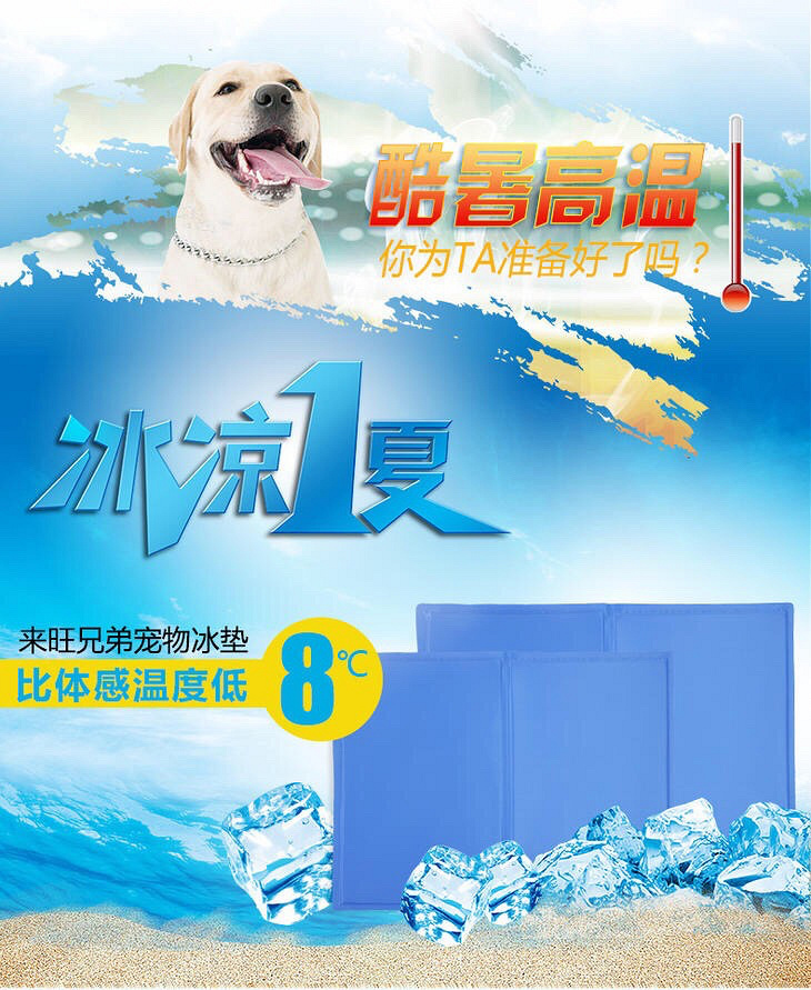 �������٣������ﱦ��һ��С����