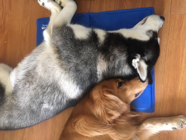 �������٣������ﱦ��һ��С����