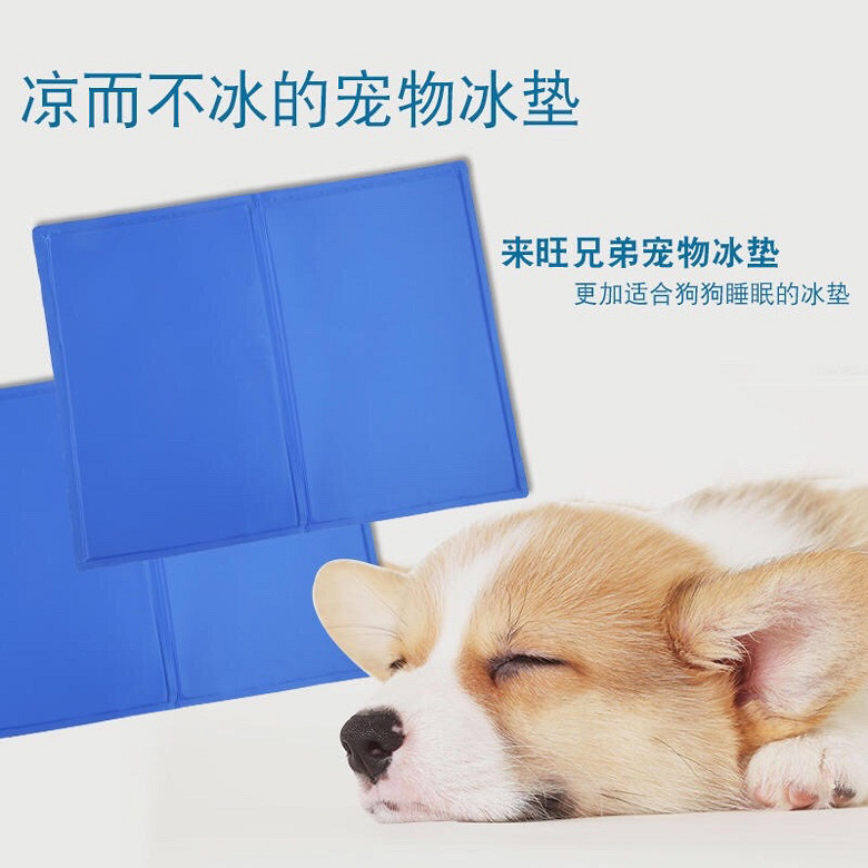 �������٣������ﱦ��һ��С����