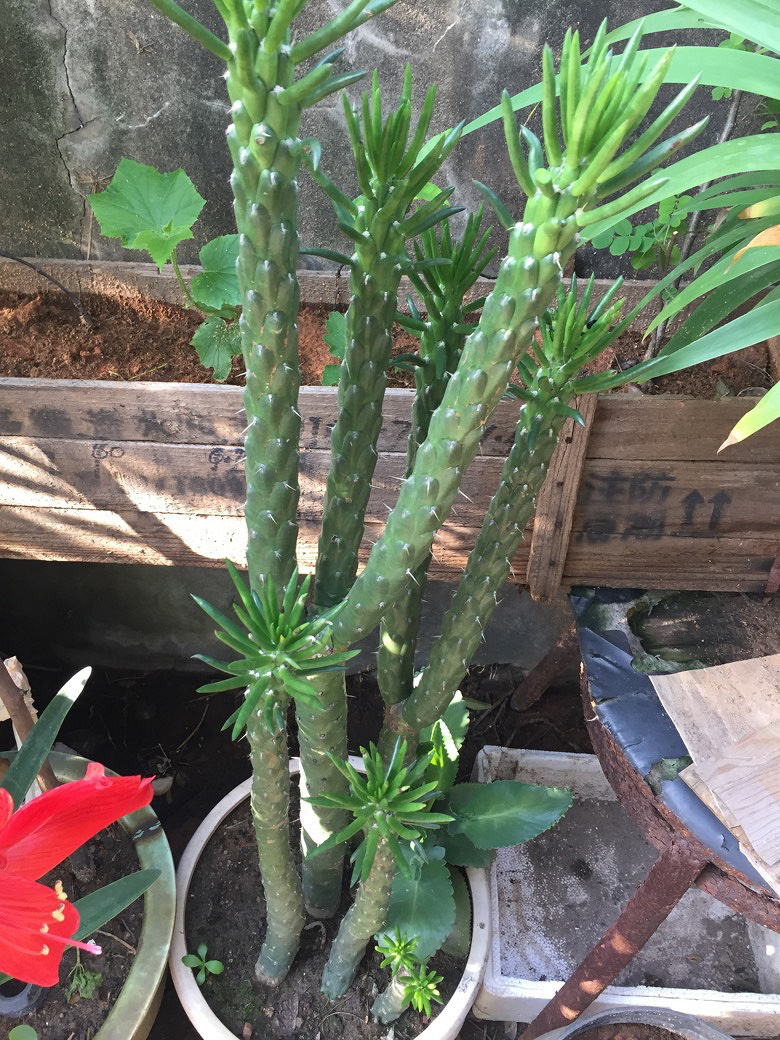 ��ʵ��Ҳ���ֶ��⣬���ǳ��������