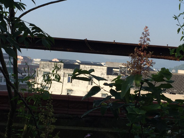 ����ɹɹ���ԳԵĻ�