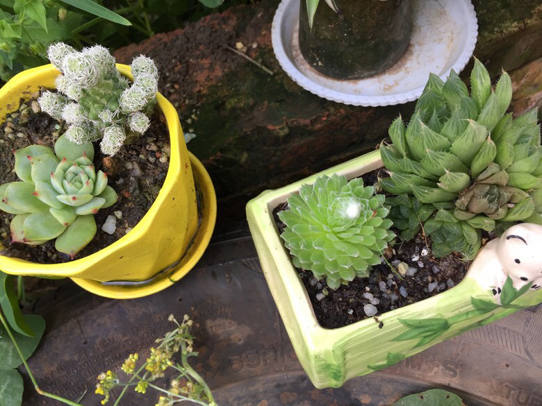 ��ʵ��Ҳ���ֶ��⣬���ǳ��������