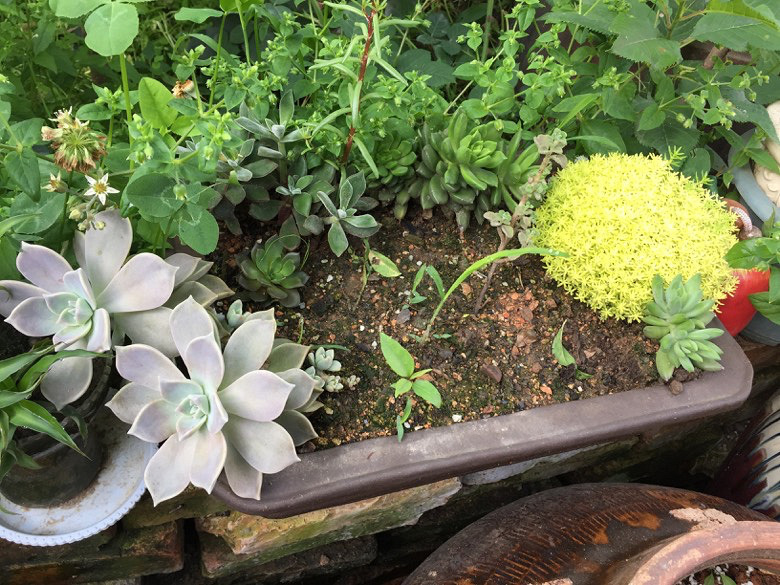 ��ʵ��Ҳ���ֶ��⣬���ǳ��������